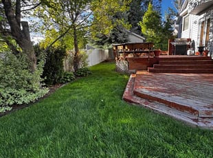 Ashley F.'s grass cutting service result