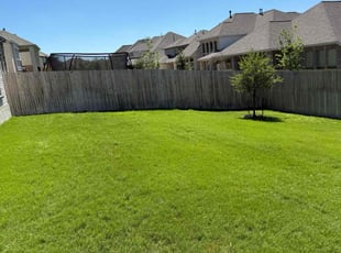 Drew N.'s lawn care services service result