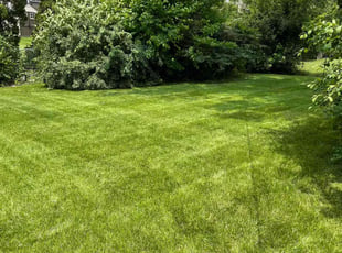Cameron D.'s turf care service result