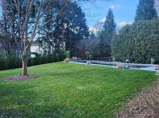 Tara O.'s lawn service service result