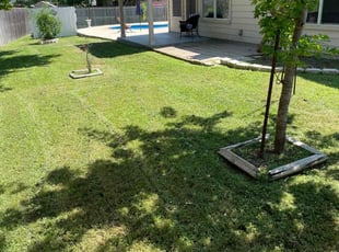 Mackenzie C.'s turf maintenance service result