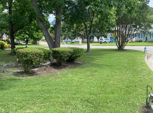 Greg B.'s grass maintenance service result