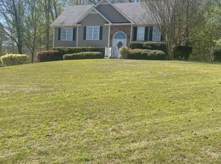Anjelica B.'s grass cutting service result