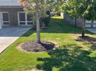Kaden V.'s lawn service service result