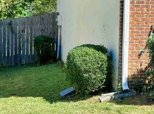 Christopher H.'s Bush Trimming service result