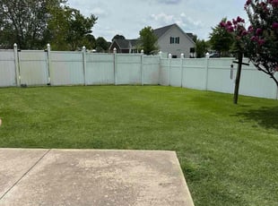 Stormmie R.'s lawn maintenance service result