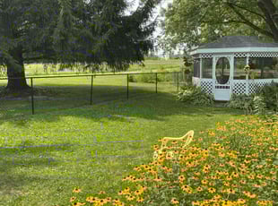 Jim K.'s turf maintenance service result