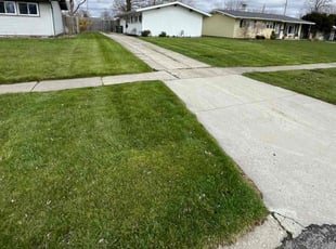 Adam M.'s lawn service service result