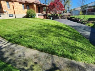 James B.'s grass maintenance service result