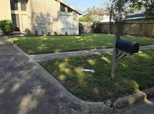Pat D.'s lawn care service result