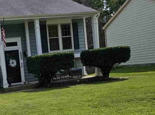 Liz M.'s Bush Trimming service result