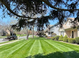 Joe S.'s lawn service service result
