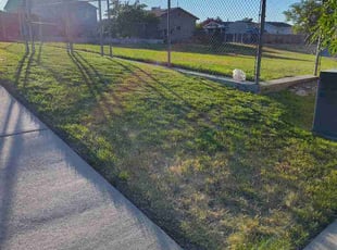 Donna S.'s lawn service service result