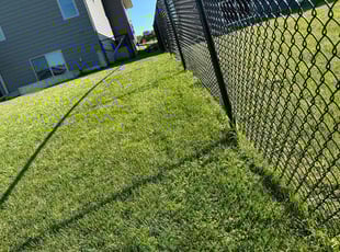 Chris M.'s turf maintenance service result