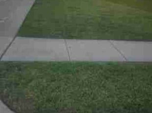 Diana F.'s lawn care service result