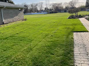 Denise T.'s lawn care service result