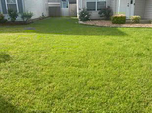 Tara B.'s turf maintenance service result