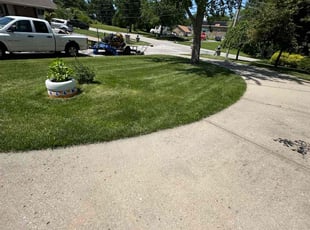 Quincy R.'s lawn maintenance service result