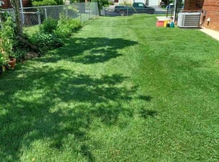 Sue M.'s lawn service service result