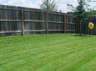 Brian B.'s grass cutting service result
