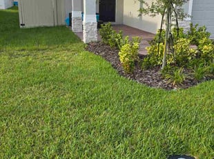 Nhu P.'s lawn maintenance service result