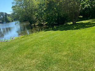 Claudia G.'s turf maintenance service result