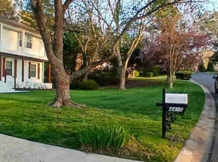 Amber s.'s grass maintenance service result