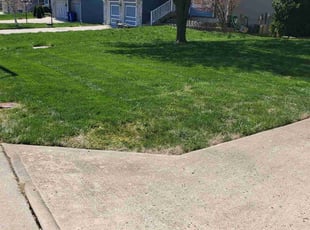 Judy R.'s lawn care services service result