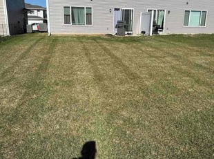 Katherine P.'s lawn maintenance service result