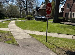 Traci P.'s turf maintenance service result