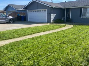 Tylon B.'s turf care service result