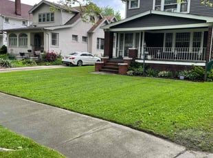 Erik J.'s lawn care service result