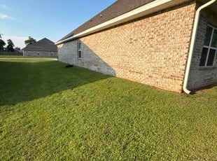 David L.'s lawn care services service result