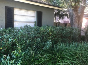 Rebecca L.'s Bush Trimming service result