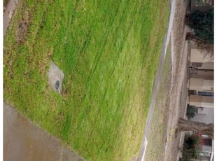 muthu s.'s lawn care service result