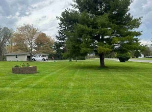 Esteban A.'s grass cutting service result
