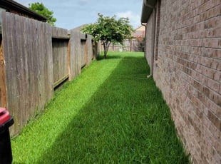 Tina G.'s lawn service service result