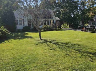 Jo W.'s turf maintenance service result