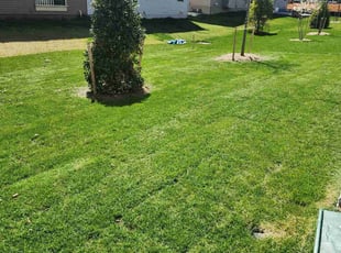 Rhonda M.'s lawn service service result