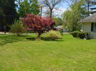 Nancy B.'s lawn care service result