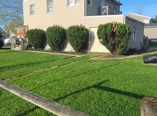 Laura C.'s lawn service service result