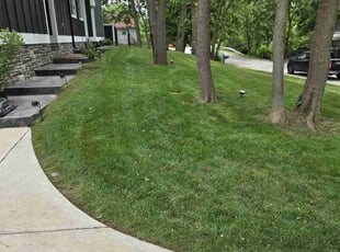 Dumaka M.'s lawn care services service result