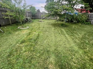 Wendy T.'s lawn maintenance service result