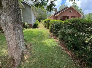 Jan G.'s grass cutting service result