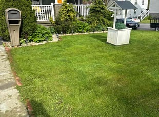 Holly Y.'s lawn service service result