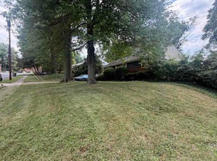 Penny S.'s turf care service result