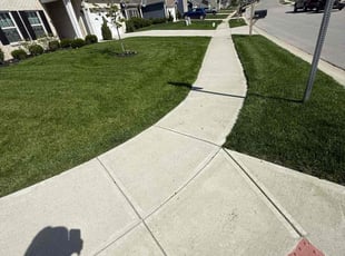Dorothy R.'s turf care service result