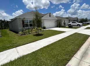 Alana T.'s Long Grass Cleanup service result