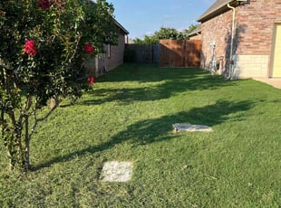 Rex C.'s lawn care services service result