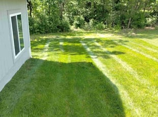 Laura G.'s grass cutting service result